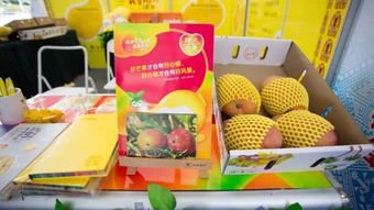 海南旅游美食与商品展销会即将开幕 一起回顾往届精彩瞬间