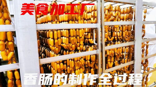 美食解密,每天10吨的工厂香肠制造过程,食品加工纪录片