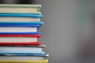 养宠助手:让你的毛孩生活更精彩