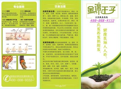 乌发生发防脱发 加盟! 首选金谛王子!_辅助器材_美发器材_辅助器材_供应_美容美发114商机网_美容美发114商机网,美容美发网,美发视频,美容理论,化妆品,女性时尚,美容护肤,瘦身减肥,化妆彩妆,发型美发,美容美发用品批发,最大的批发和零售市场